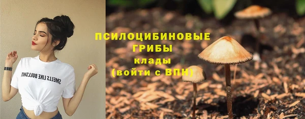 кокс Белокуриха