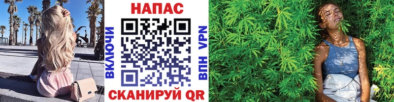 цена   Яхрома  Бошки Шишки сатива 